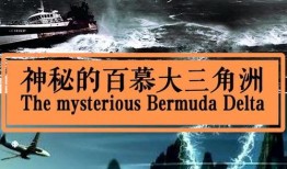 神秘轮船在线观看,探寻未知海域的惊悚之旅